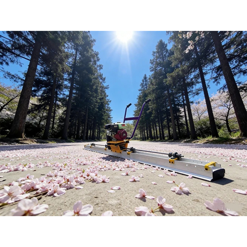 Engine-Powered 5.0HP Double-La - Concrete Vibrator recension och pris