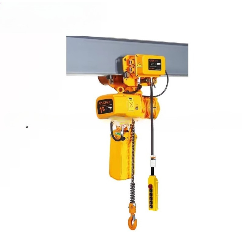 Dual Speed Electric Chain Hois - Heavy Equipment Industry recension och pris